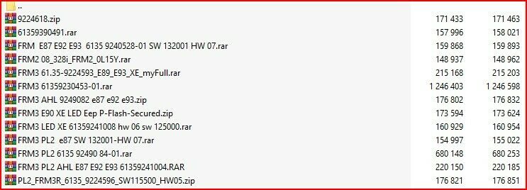 BMW FRM Repair Software - Image 2