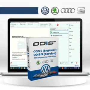 ODIS Service 24 Full activation