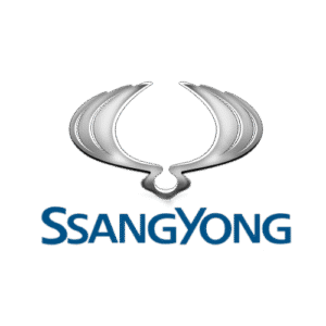 DAMOS SsangYong DCM 3.7